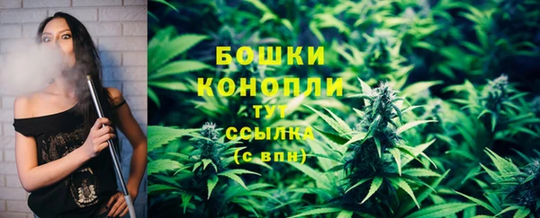 тгк Заводоуковск