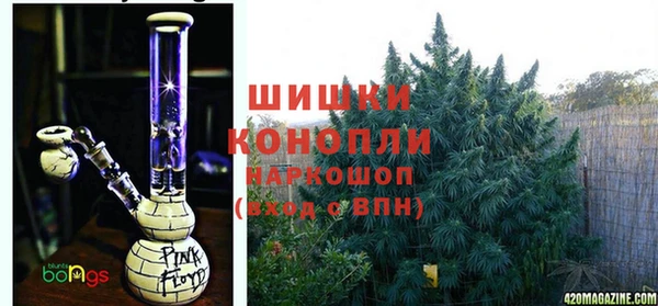 трава Заволжье
